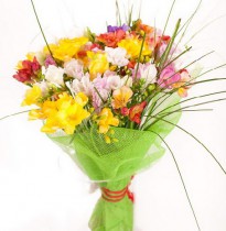  Bouquet of fresies Tanya